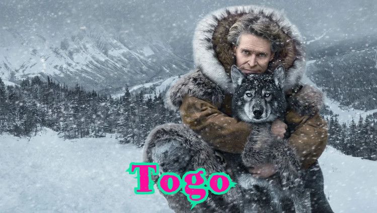 Togo – Horij Film O`zbek Tilida