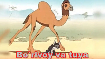Bo`rivoy va tuya – Multfilm O`zbek Tilida